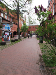 La rue Nora Platiel dans l'Université de Kassel, non loin de la rue qui porte le nom d'Arnold Bode, le fondateur de la Documenta de Kassel, exposition d’art moderne mondialement connu.